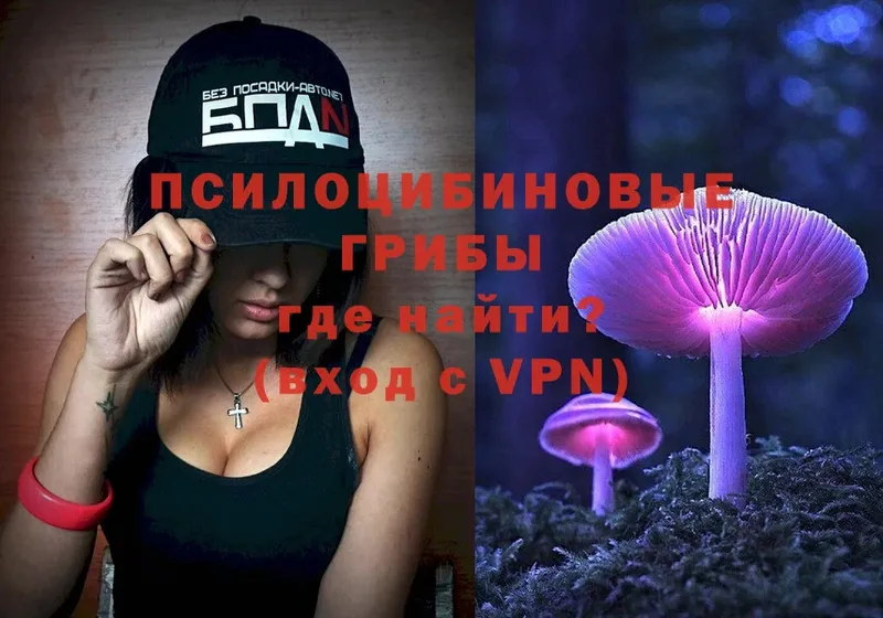 Галлюциногенные грибы Magic Shrooms  darknet состав  Новоульяновск  магазин продажи  